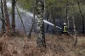 Waldbrand Wahner Heide Troisdorf Eisenweg P111